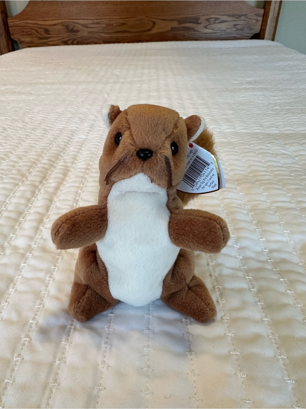 Nuts the Squirrel Beanie Baby 4114